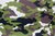 Neopren Camouflage american grün 2mm